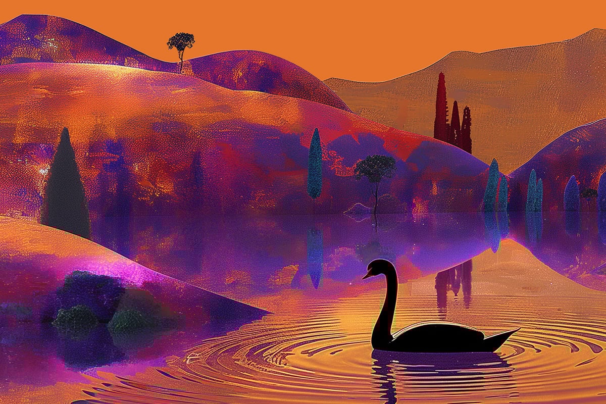 Black Swan Summit India Black Swan Summit India